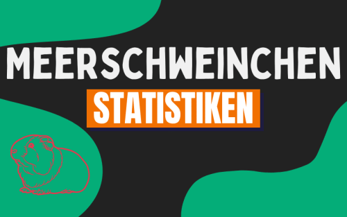 30+ erstaunliche Meerschweinchen Statistiken (2024)